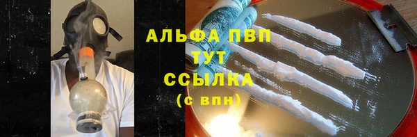 PSILOCYBIN Заволжье