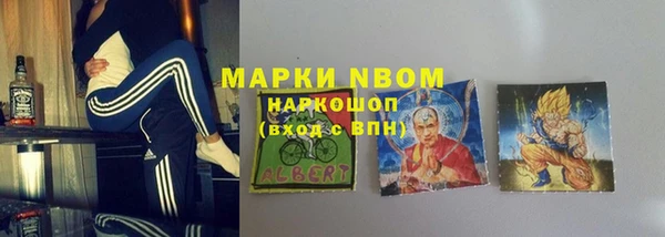 не бодяженный Заводоуковск