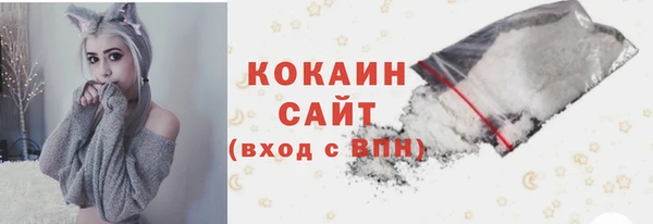 не бодяженный Заводоуковск