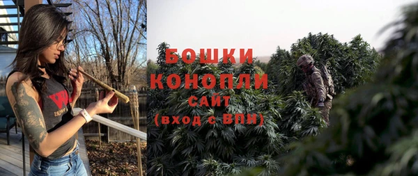 PSILOCYBIN Заволжье