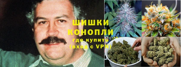 PSILOCYBIN Заволжье