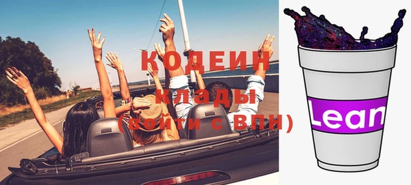 не бодяженный Заводоуковск