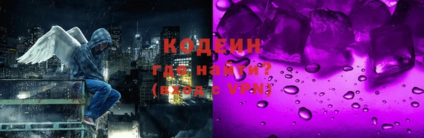 не бодяженный Заводоуковск